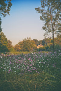 travel-photography-johannesburg-marcell-meyer-photography-9